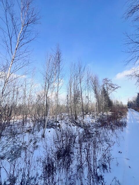 M8 P/o 1 Drews Mill Road Houlton, ME 04730 - Photo 11 of 12 IMG_8484