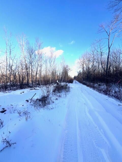 M8 P/o 1 Drews Mill Road Houlton, ME 04730 - Photo 12 of 12 IMG_8498