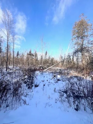 $29,900 | M8 P/o 1 Drews Mill Road, Houlton, ME 04730