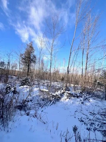 $29,900 | M8 P/o 1 Drews Mill Road, Houlton, ME 04730