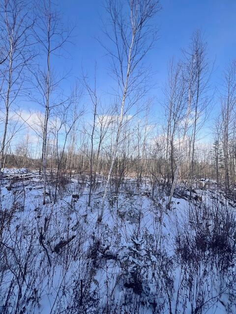 M8 P/o 1 Drews Mill Road Houlton, ME 04730 - Photo 6 of 12 IMG_8483