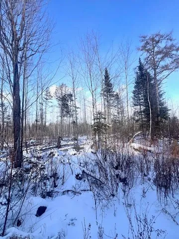 $29,900 | M8 P/o 1 Drews Mill Road, Houlton, ME 04730