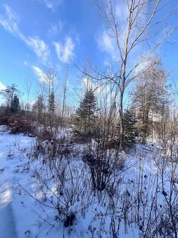 $29,900 | M8 P/o 1 Drews Mill Road, Houlton, ME 04730