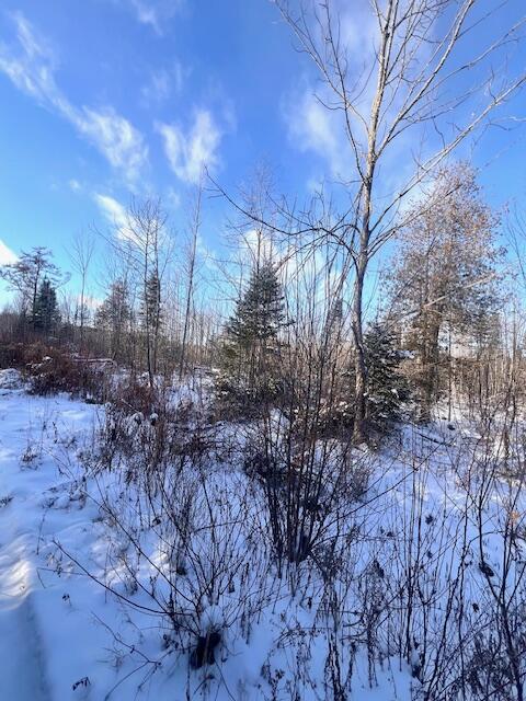 M8 P/o 1 Drews Mill Road Houlton, ME 04730 - Photo 8 of 12 IMG_8487