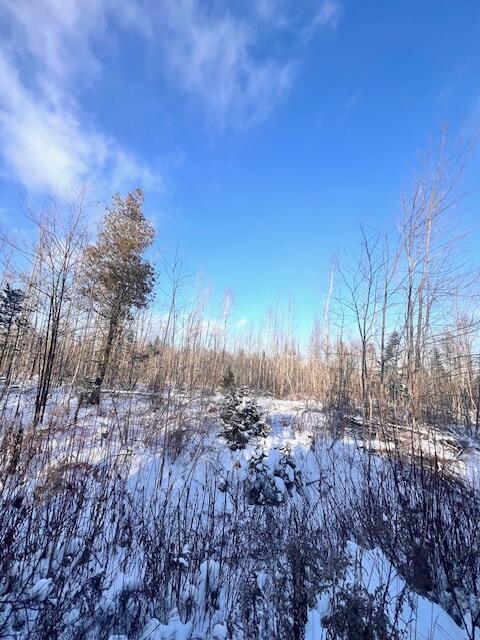 M8 P/o 1 Drews Mill Road Houlton, ME 04730 - Photo 9 of 12 IMG_8493