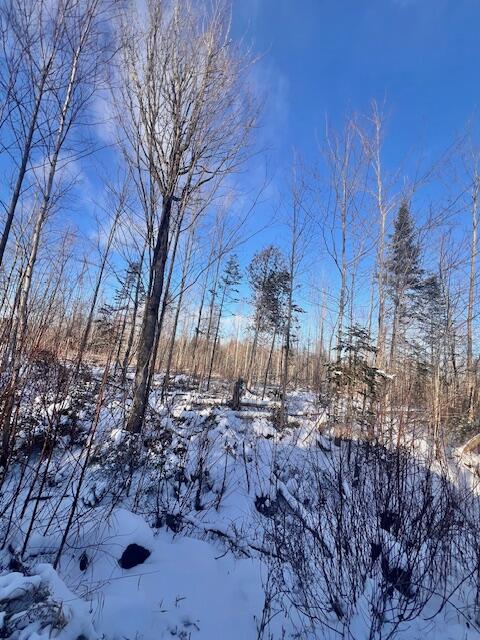 M8 P/o 1 Drews Mill Road Houlton, ME 04730 - Photo 10 of 12 IMG_8495