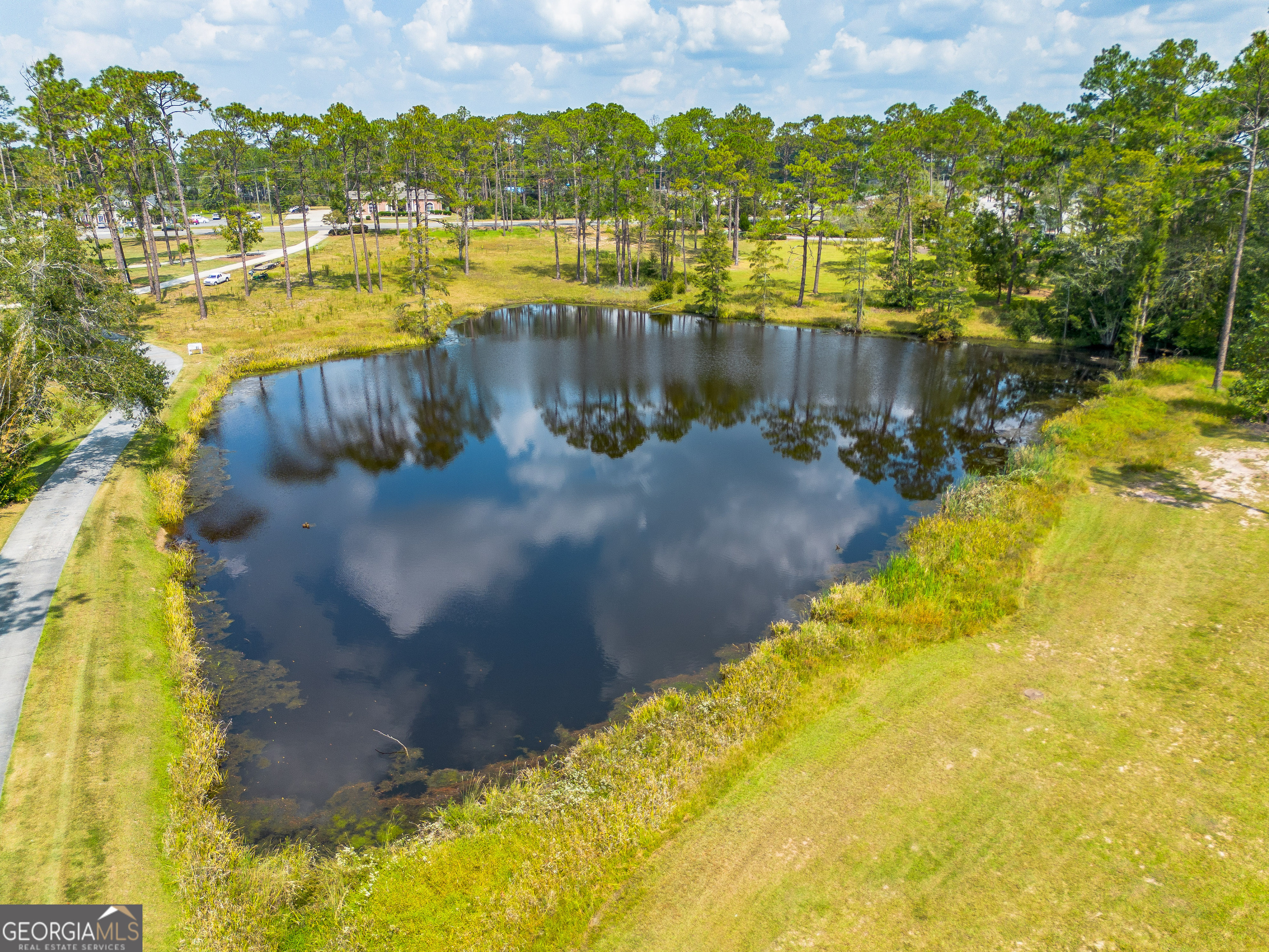 1602 Ward St Extension West Douglas, GA 31533 - Photo 69 of 70 a view of a lake with a big yard