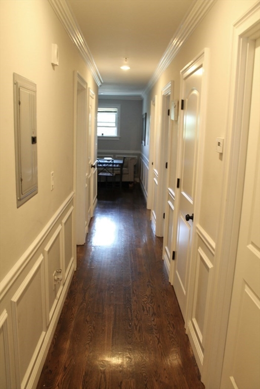 34 Circuit Street, Unit 1 Boston, MA 02119 - Photo 5 of 13