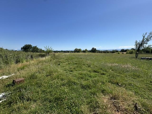 5227 Hopson Road Anderson, CA 96007 - Photo 14 of 19 a view of a big yard with a large tree and a yard