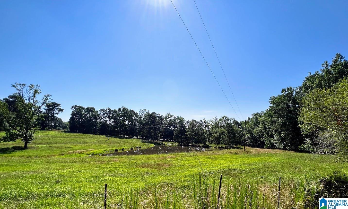 0 County Road 10, Unit X Ranburne, AL 36273 - Photo 24 of 32