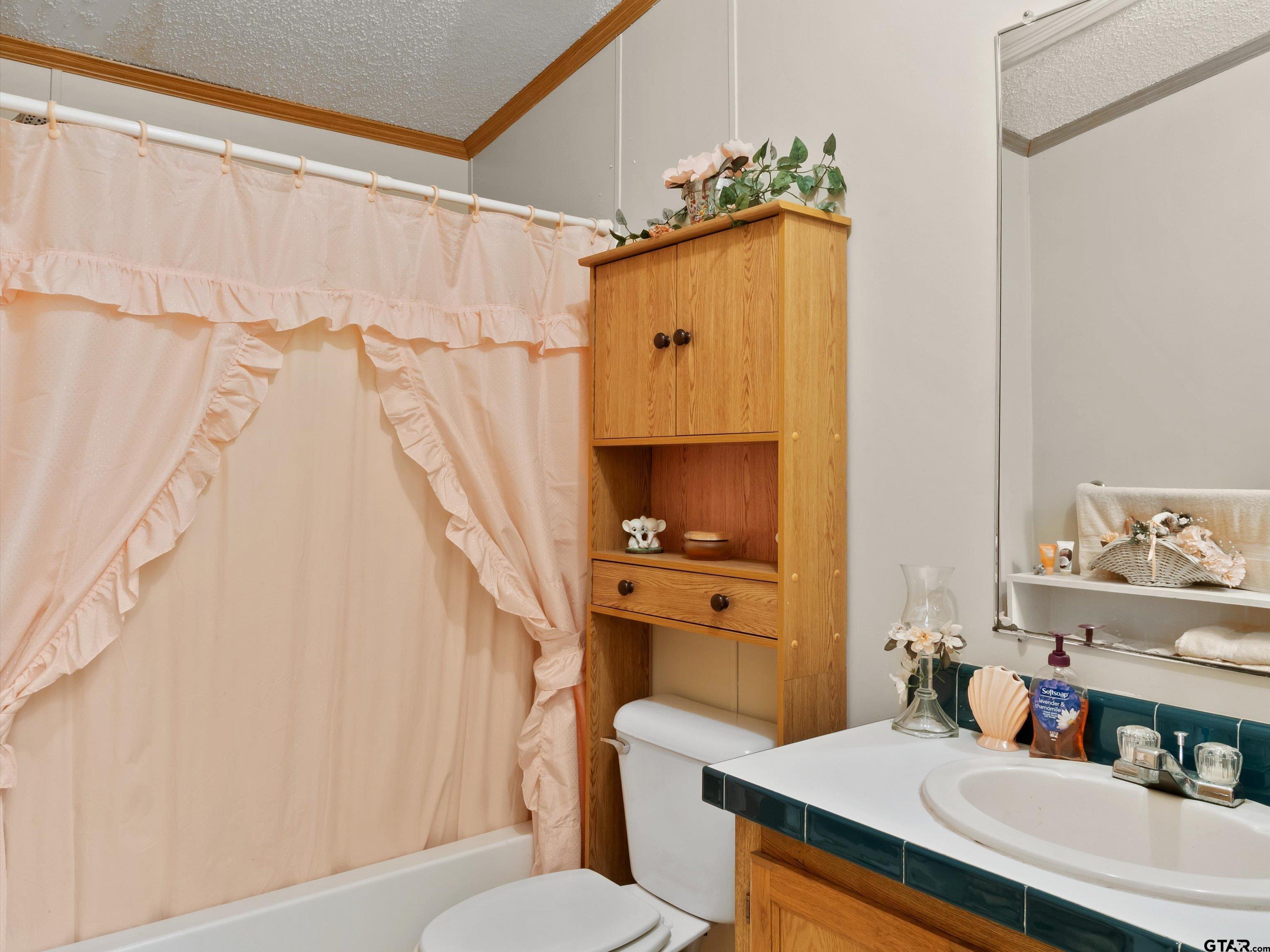 2811 Medlin Road Gilmer, TX 75645 - Photo 22 of 30 a bathroom with a sink a toilet and shower curtain