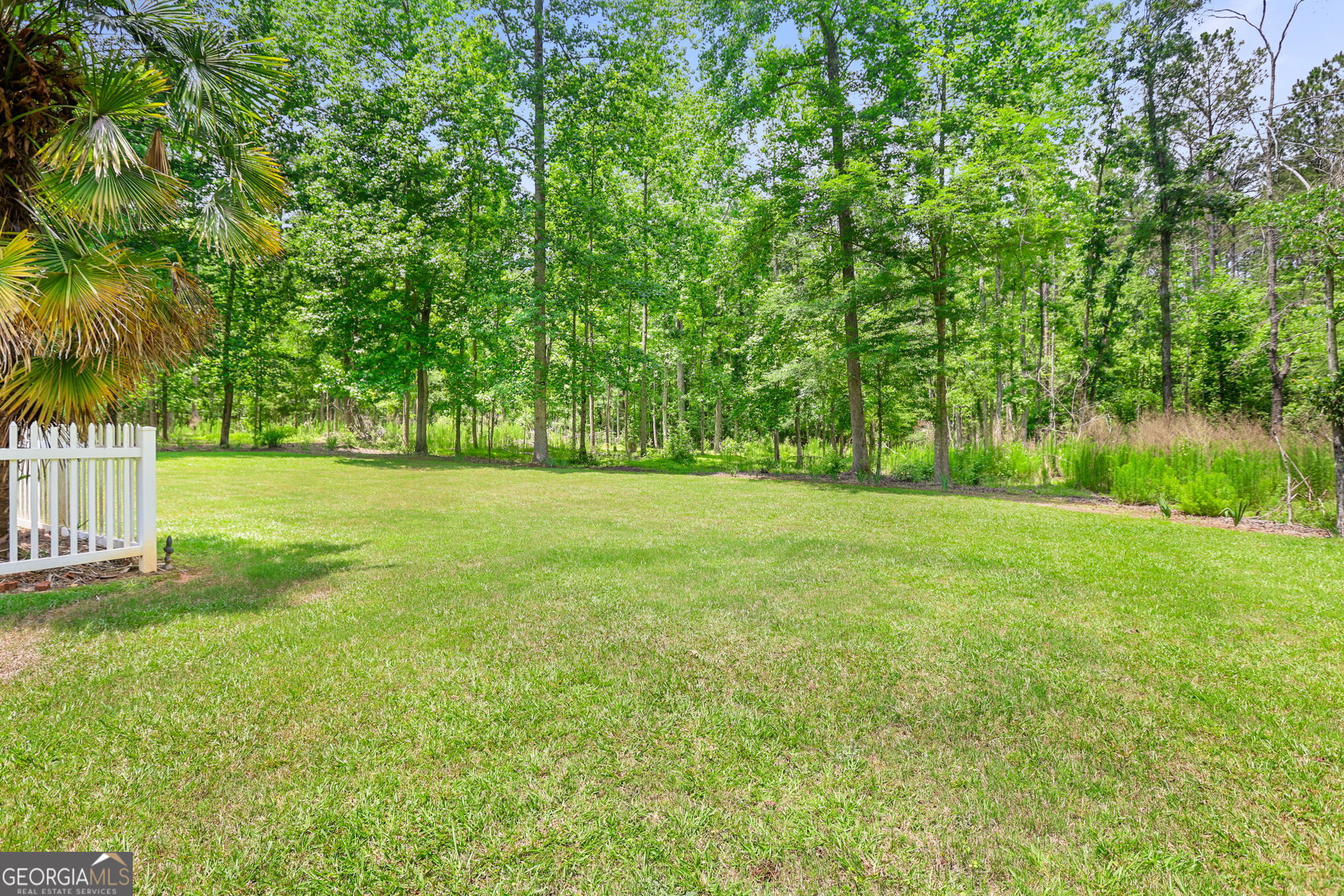 643 Old Greenville Road Fayetteville, GA 30215 - Photo 53 of 59 a view of a field with a tree