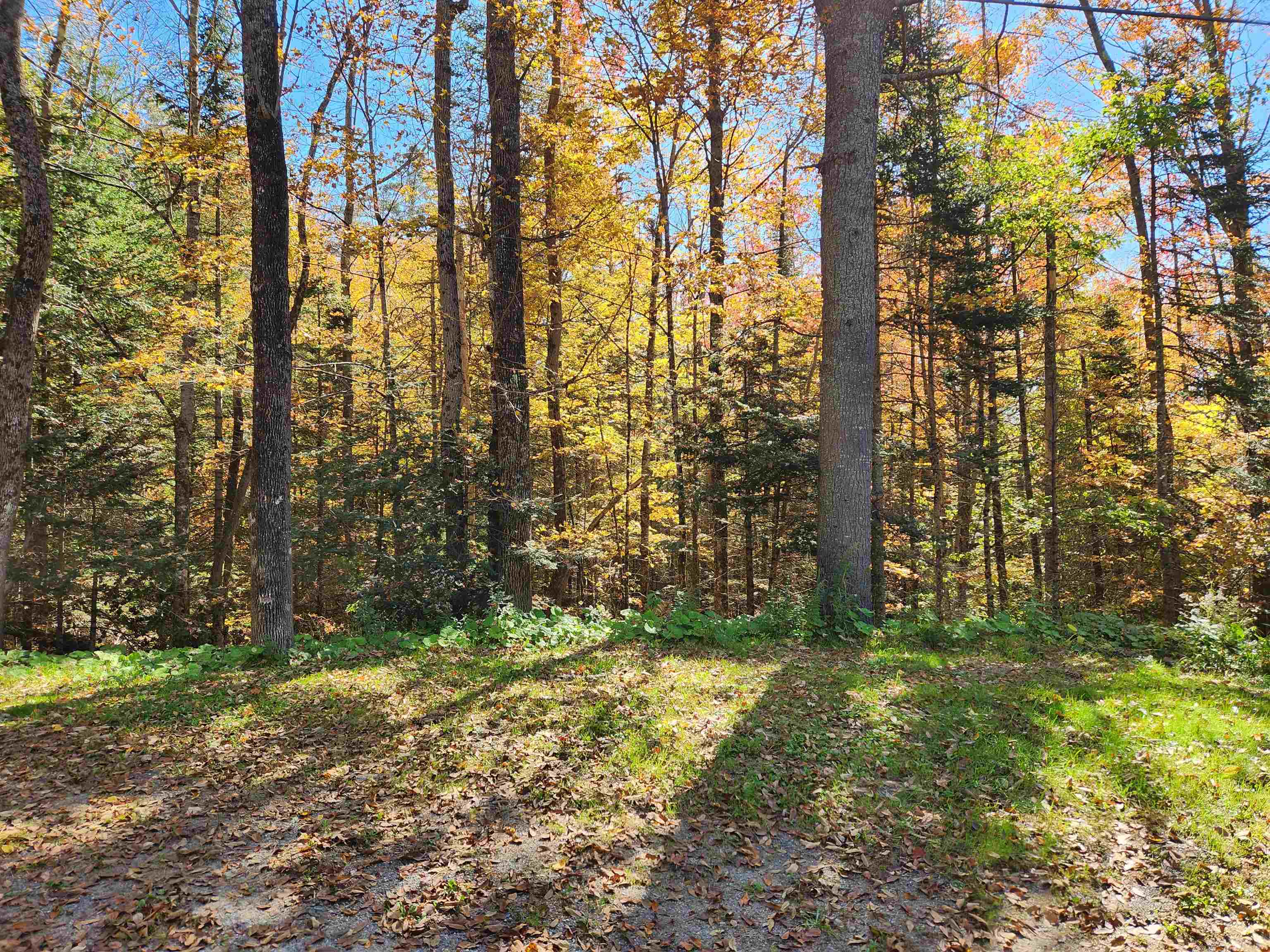 Town Road Orford, NH 03777 - Photo 13 of 22 Gallery Image 13