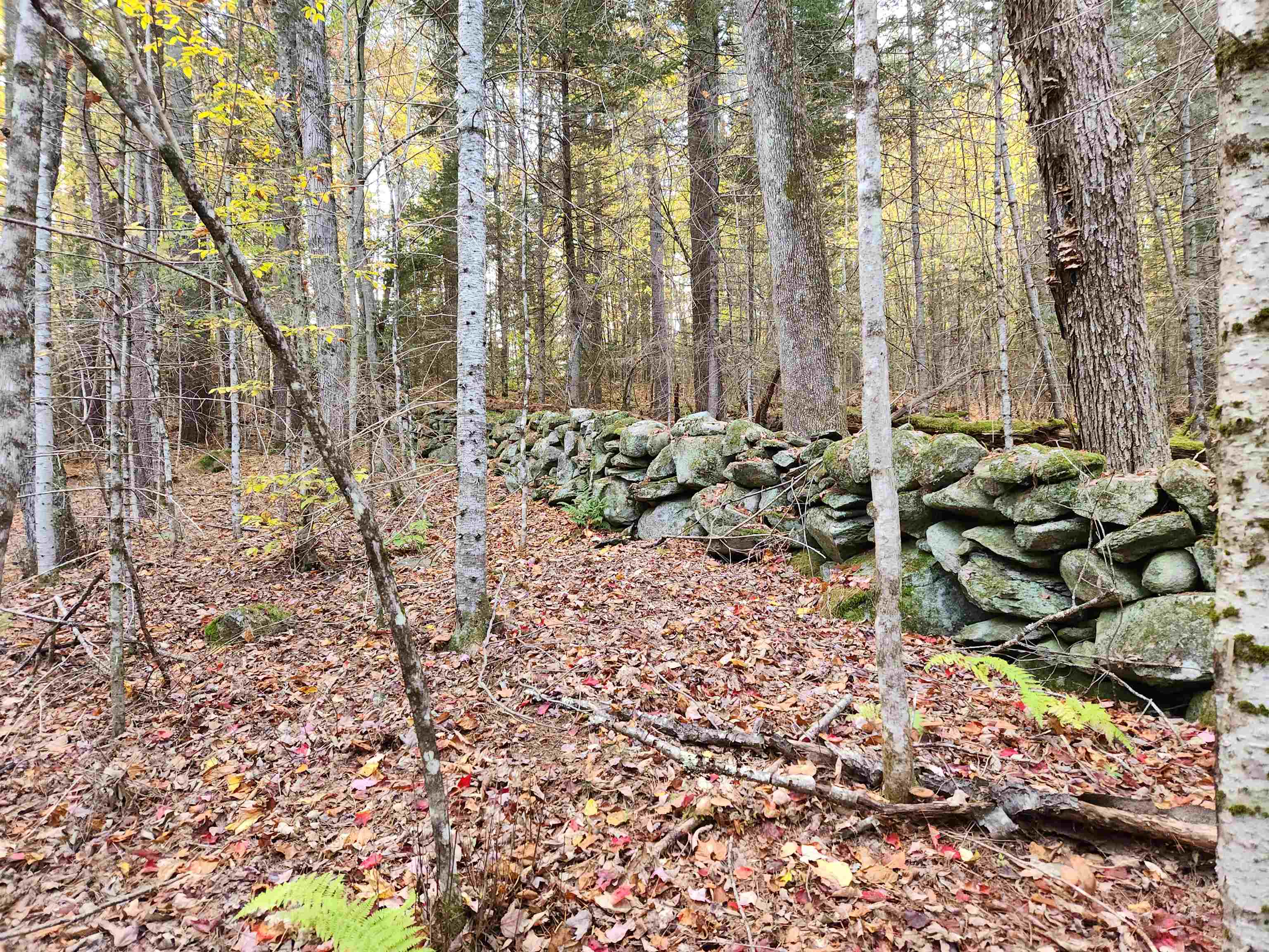 Town Road Orford, NH 03777 - Photo 17 of 22 Gallery Image 17