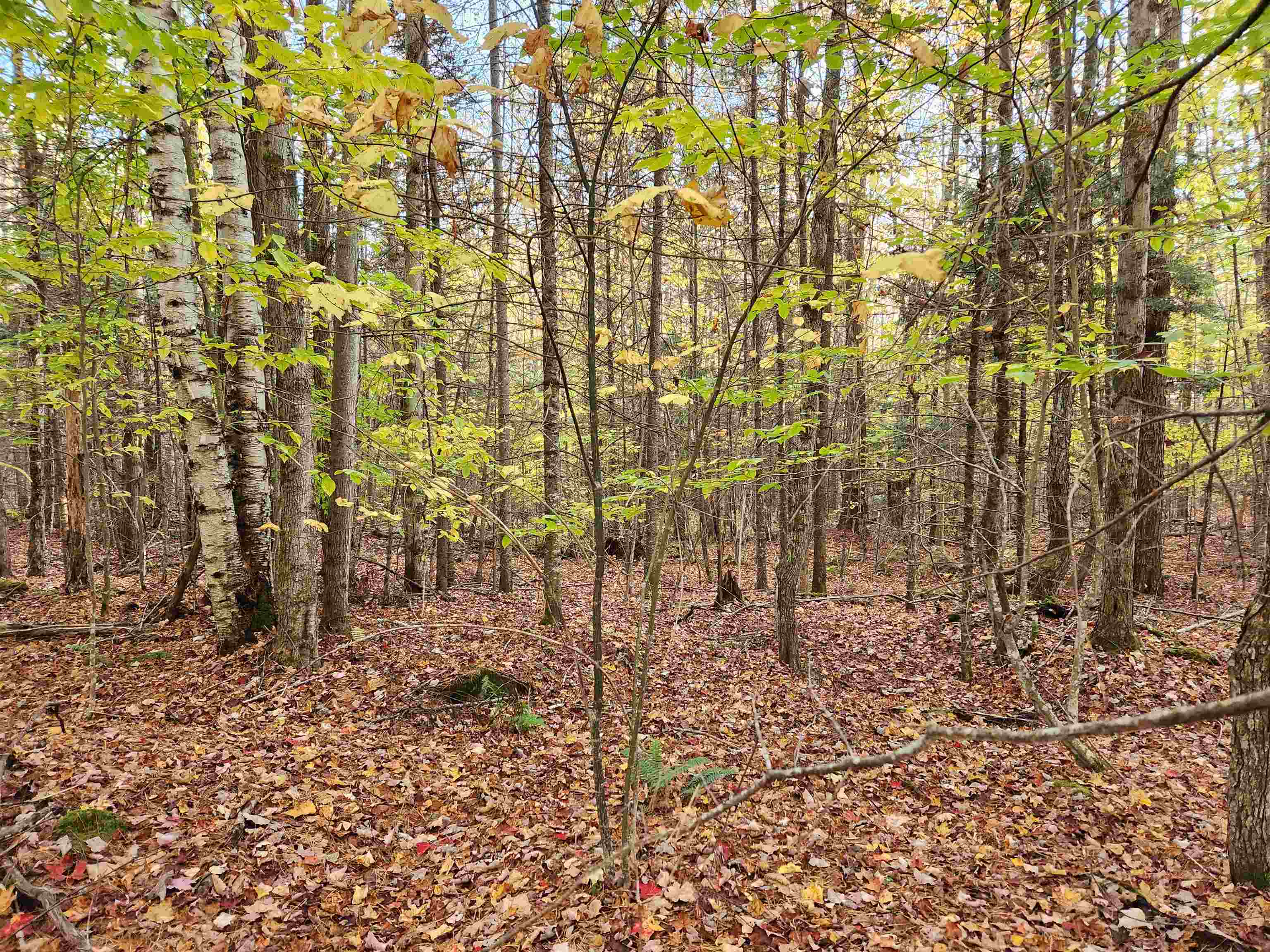 Town Road Orford, NH 03777 - Photo 19 of 22 Gallery Image 19
