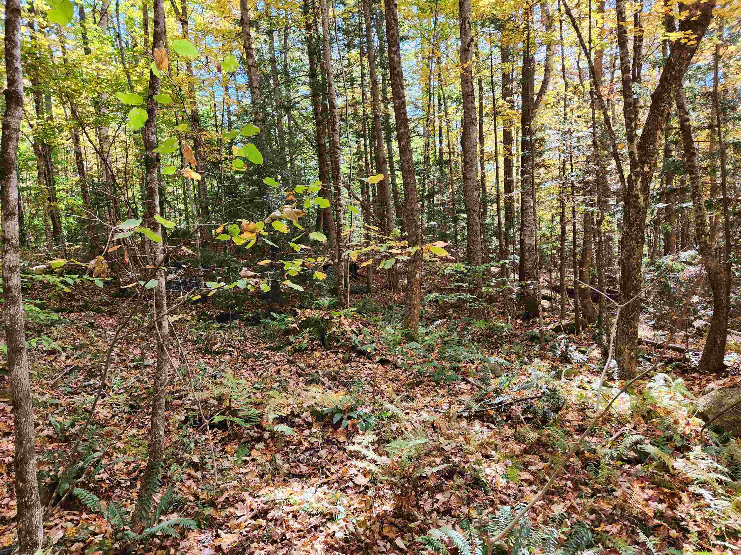 Town Road Orford, NH 03777 - Photo 2 of 22 Gallery Image 2