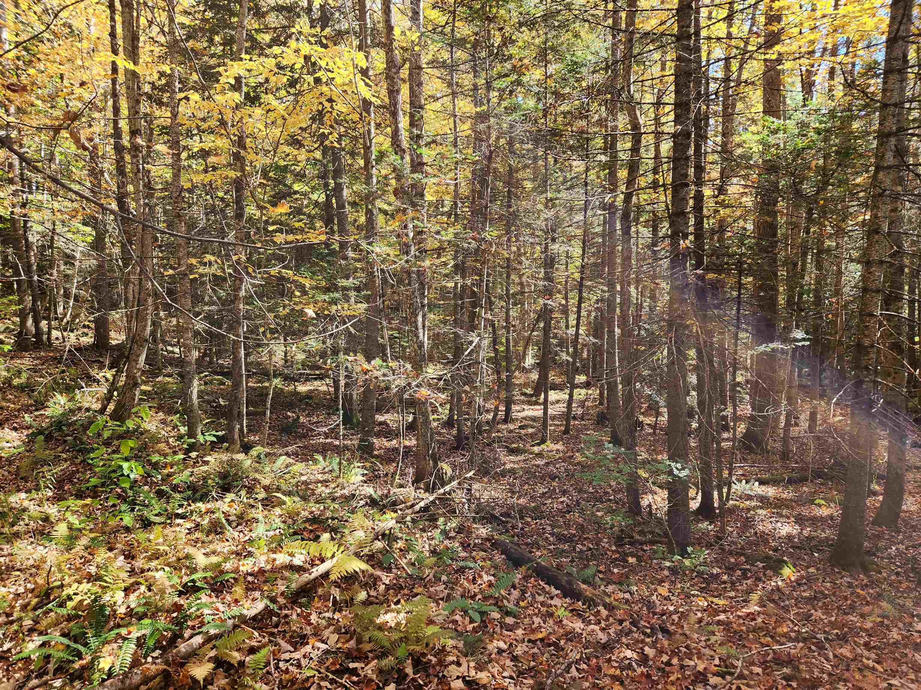 Town Road Orford, NH 03777 - Photo 21 of 22 Gallery Image 21