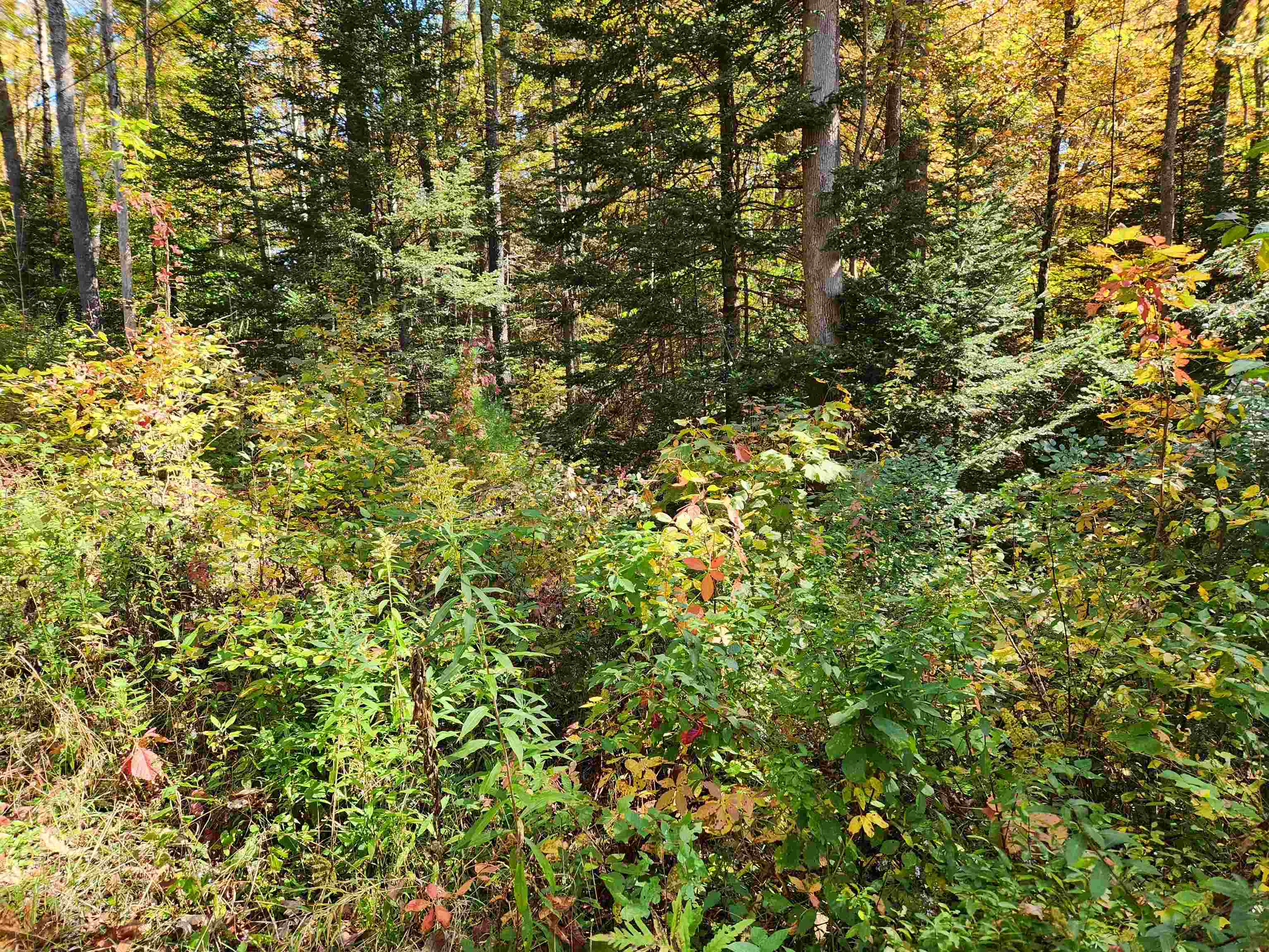 Town Road Orford, NH 03777 - Photo 4 of 22 Gallery Image 4