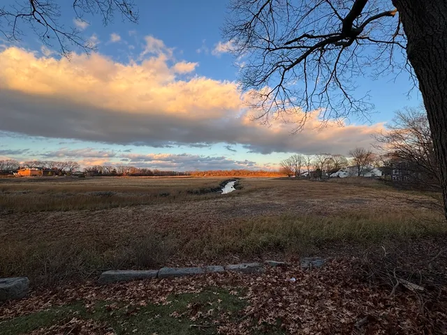 a view of a lake with a big yard