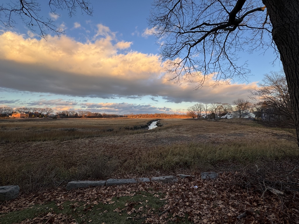 162 Palmer Street Quincy, MA 02169 - Photo 20 of 21 a view of a yard next to a house