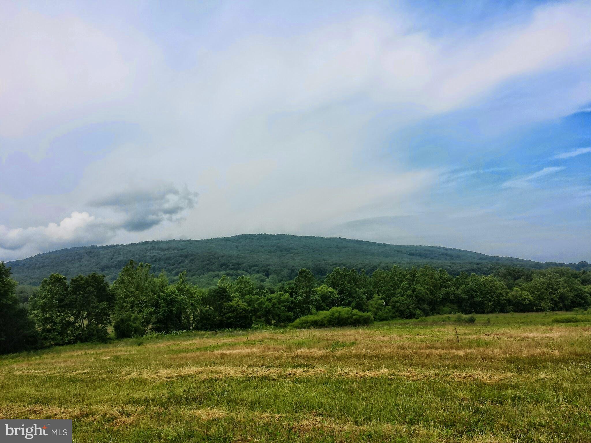 Lot 16 Spring Lane Road Dillsburg, PA 17019 - Photo 14 of 19 Gallery Image 14