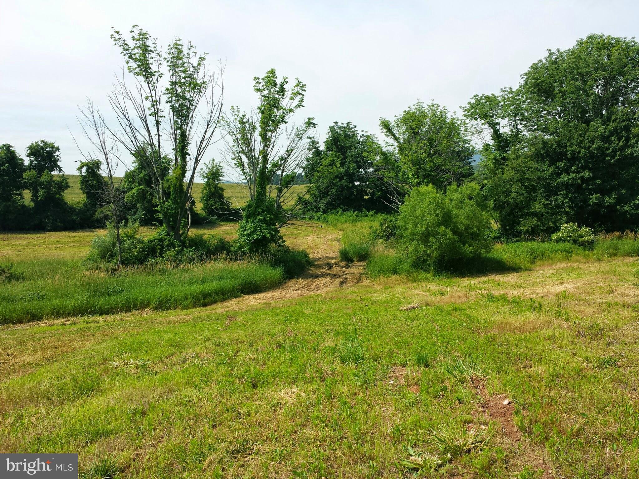 Lot 16 Spring Lane Road Dillsburg, PA 17019 - Photo 19 of 19 Gallery Image 19