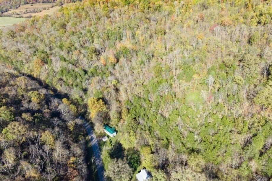 1748 Dry Fork Road Granville, TN 38564 - Photo 14 of 37 Gallery Image 14