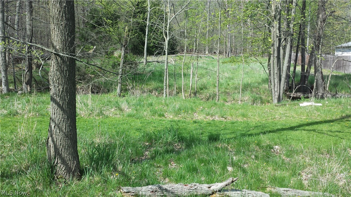 8142 Richard Road Broadview Heights, OH 44147 - Photo 3 of 8 Gallery Image 3