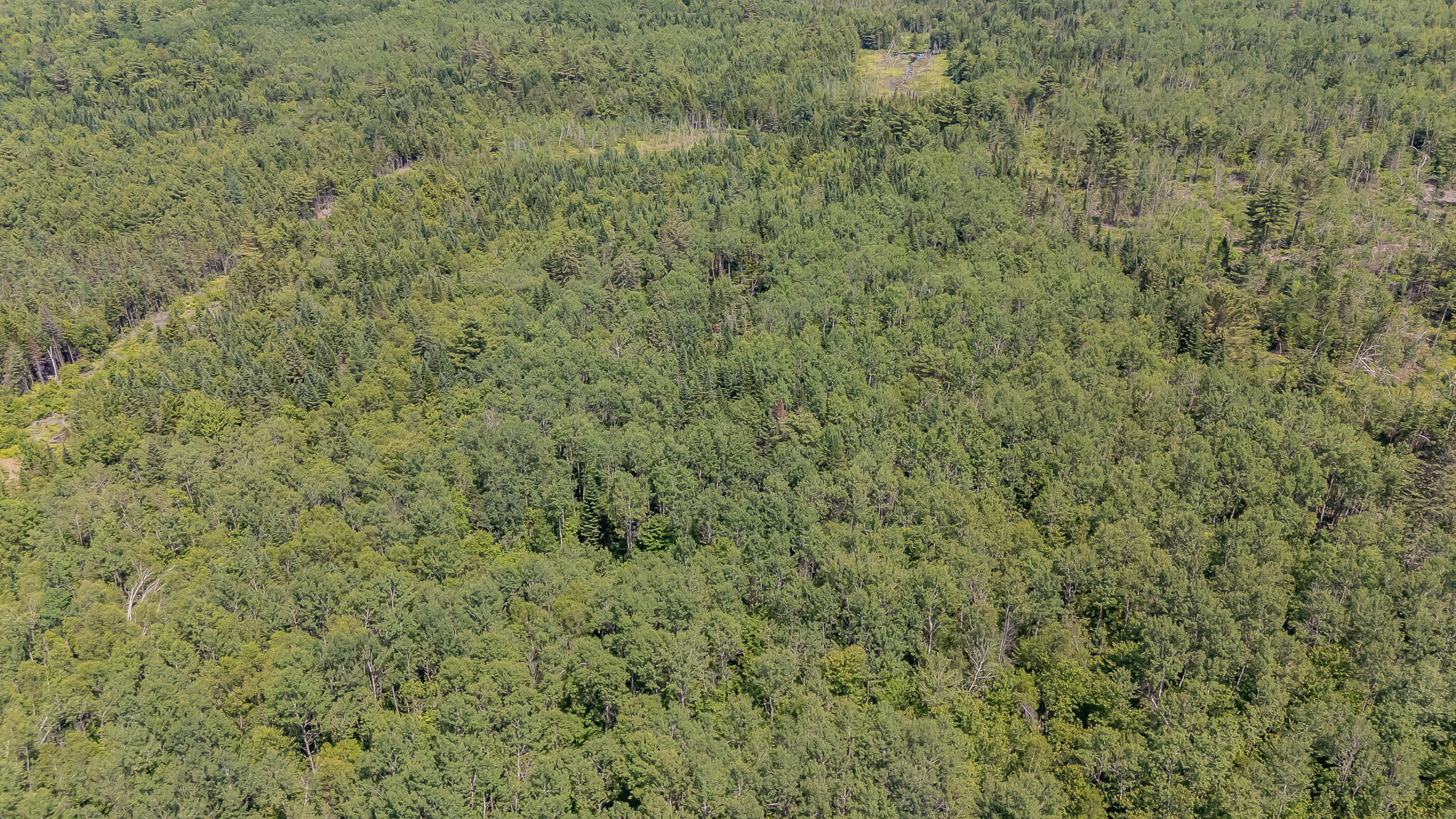 Lot 4 Brimstone Road Lagrange, ME 04453 - Photo 22 of 35 DJI_20250630140325_0540_D