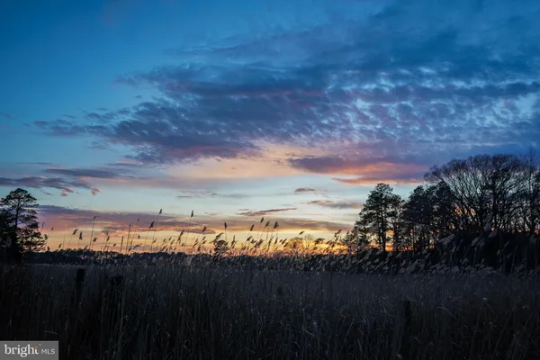 a view of a sky from a yard