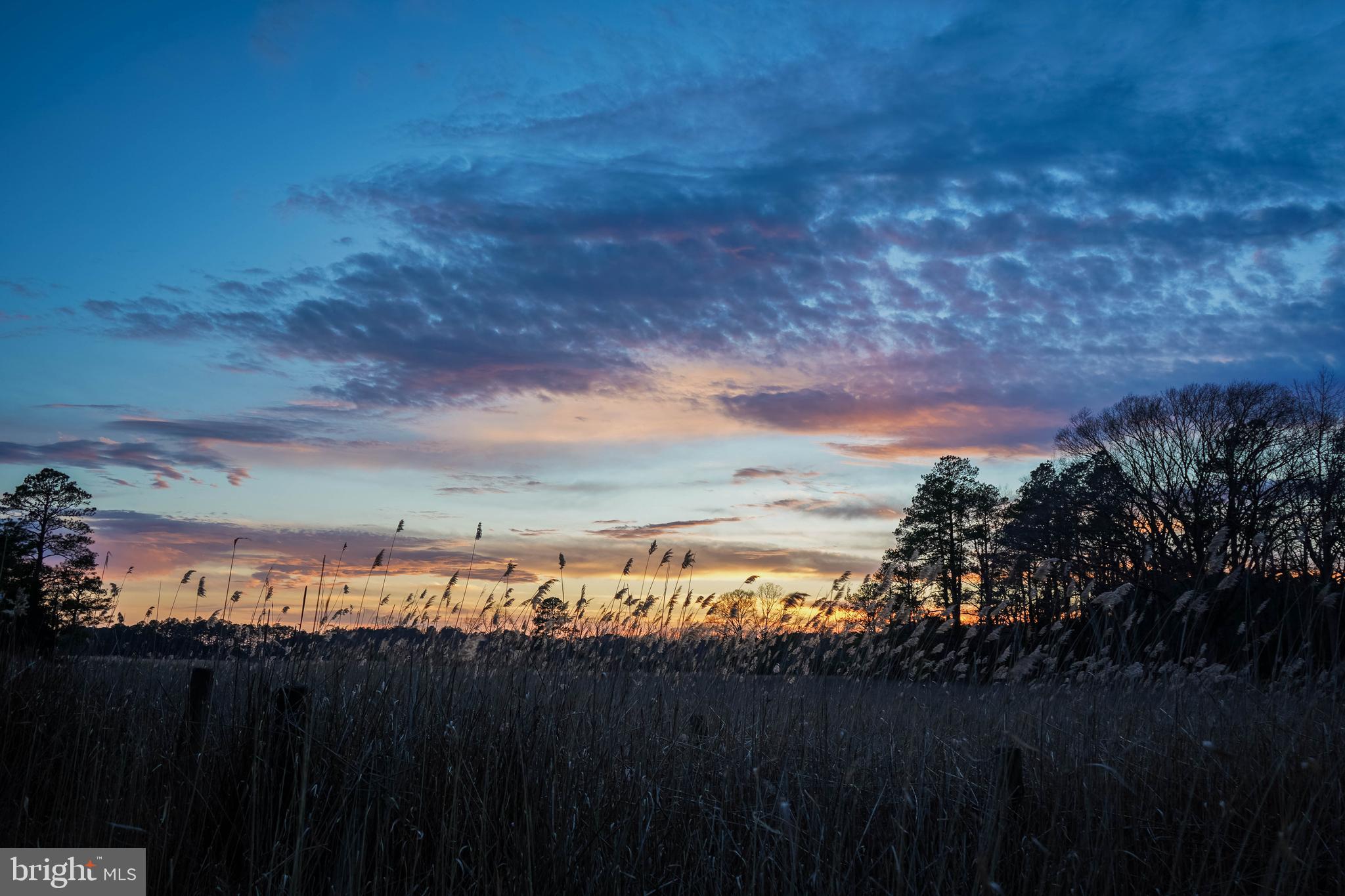 3555 Green Hill Church Road Quantico, MD 21856 - Photo 5 of 51 a view of a sky from a yard