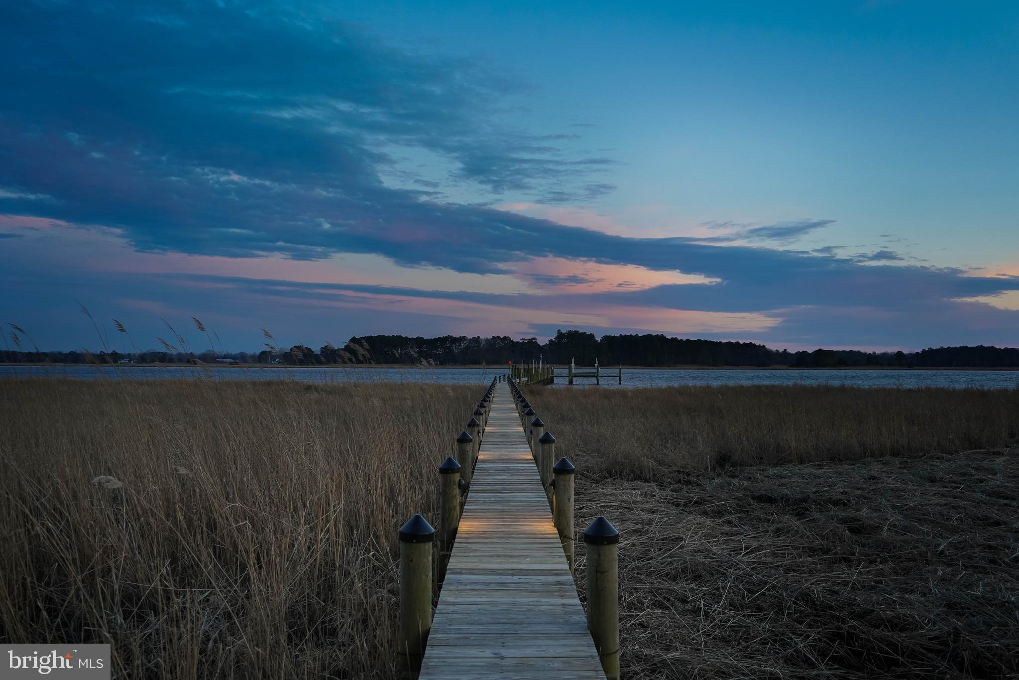 3555 Green Hill Church Road Quantico, MD 21856 - Photo 6 of 51 a view of a lake with a floor