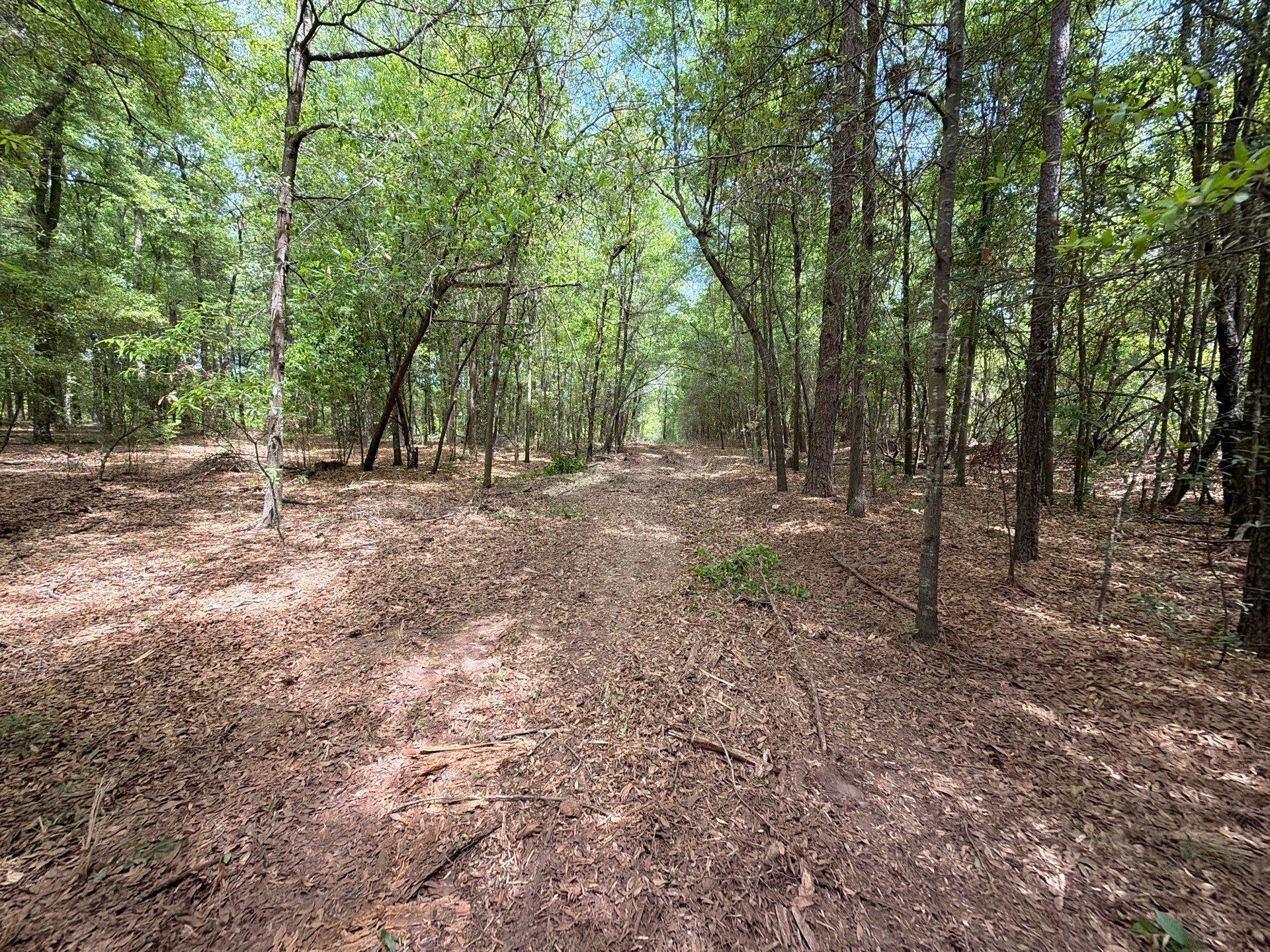 4 Rogers Cemetery Road, Unit RRF 4 Salley, SC 29137 - Photo 9 of 21 Gallery Image 9
