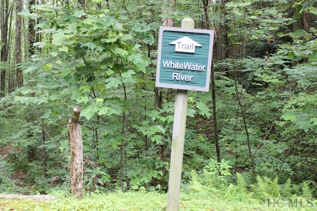 917 Whitewater Ridge Road Sapphire, NC 28774 - Photo 2 of 9 Gallery Image 2
