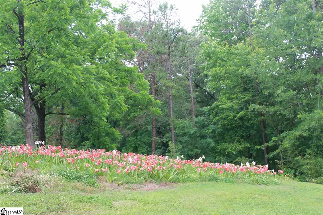 247 Dan Ross Road Six Mile, SC 29682 - Photo 19 of 21 Gallery Image 19