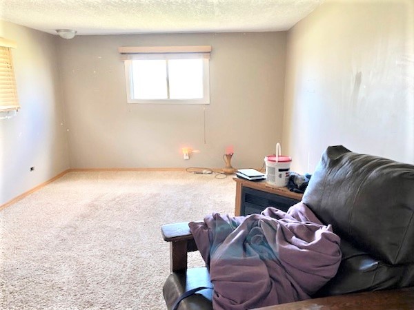 21374 Coleta Road Sterling, IL 61081 - Photo 14 of 19 a living room with furniture and a window