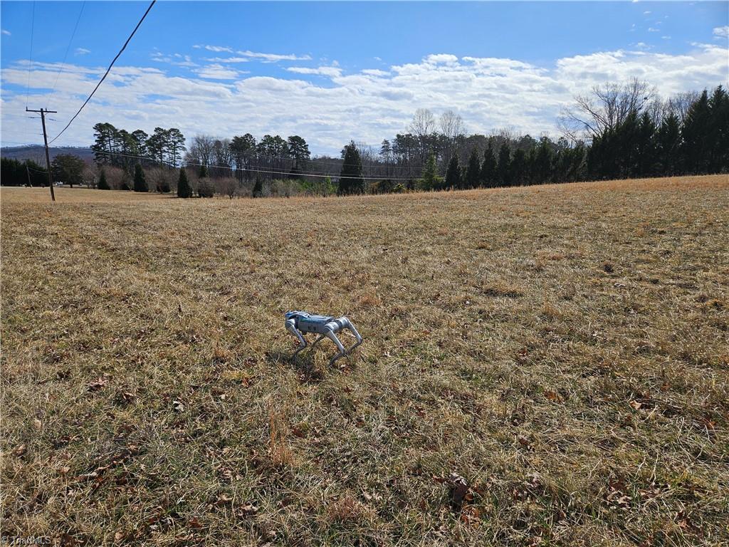0 Volunteer Road, Unit 2 Pinnacle, NC 27043 - Photo 1 of 8