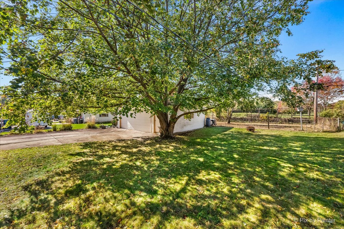970 Fischer Drive Addison, IL 60101 - Photo 28 of 32 a view of yard with tree