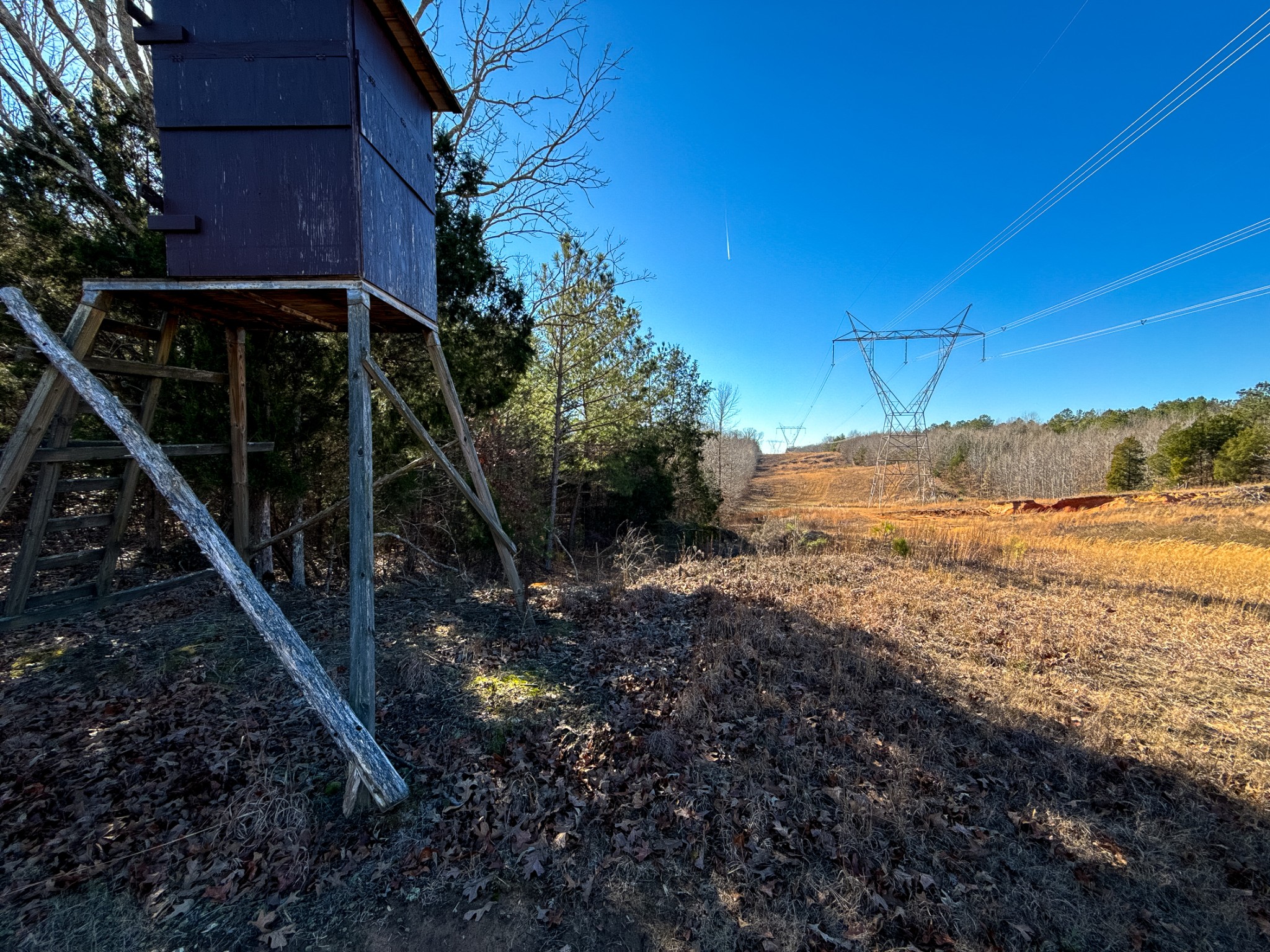 935 Pearson Road Cedar Grove, TN 38321 - Photo 12 of 46