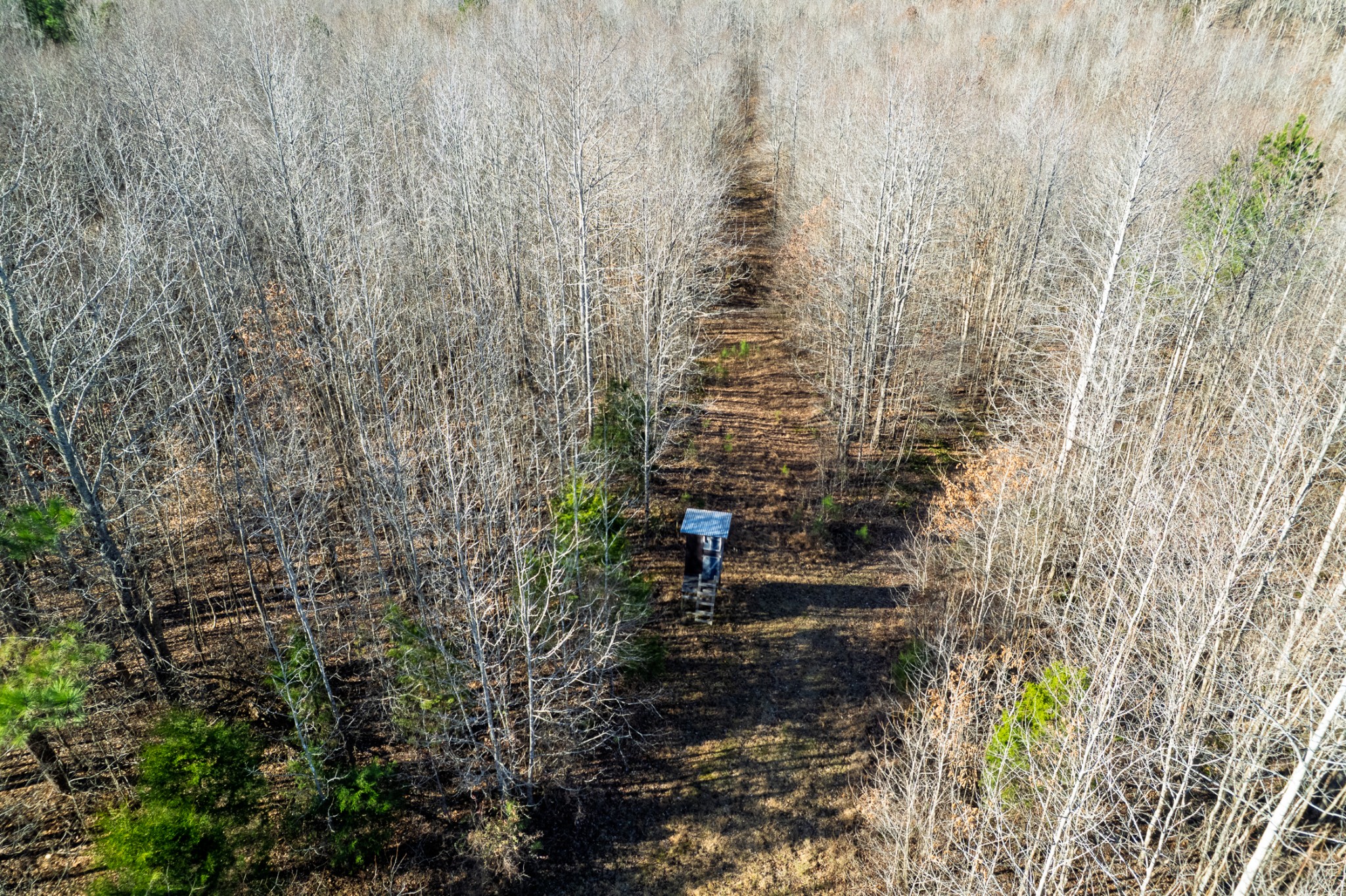 935 Pearson Road Cedar Grove, TN 38321 - Photo 14 of 46