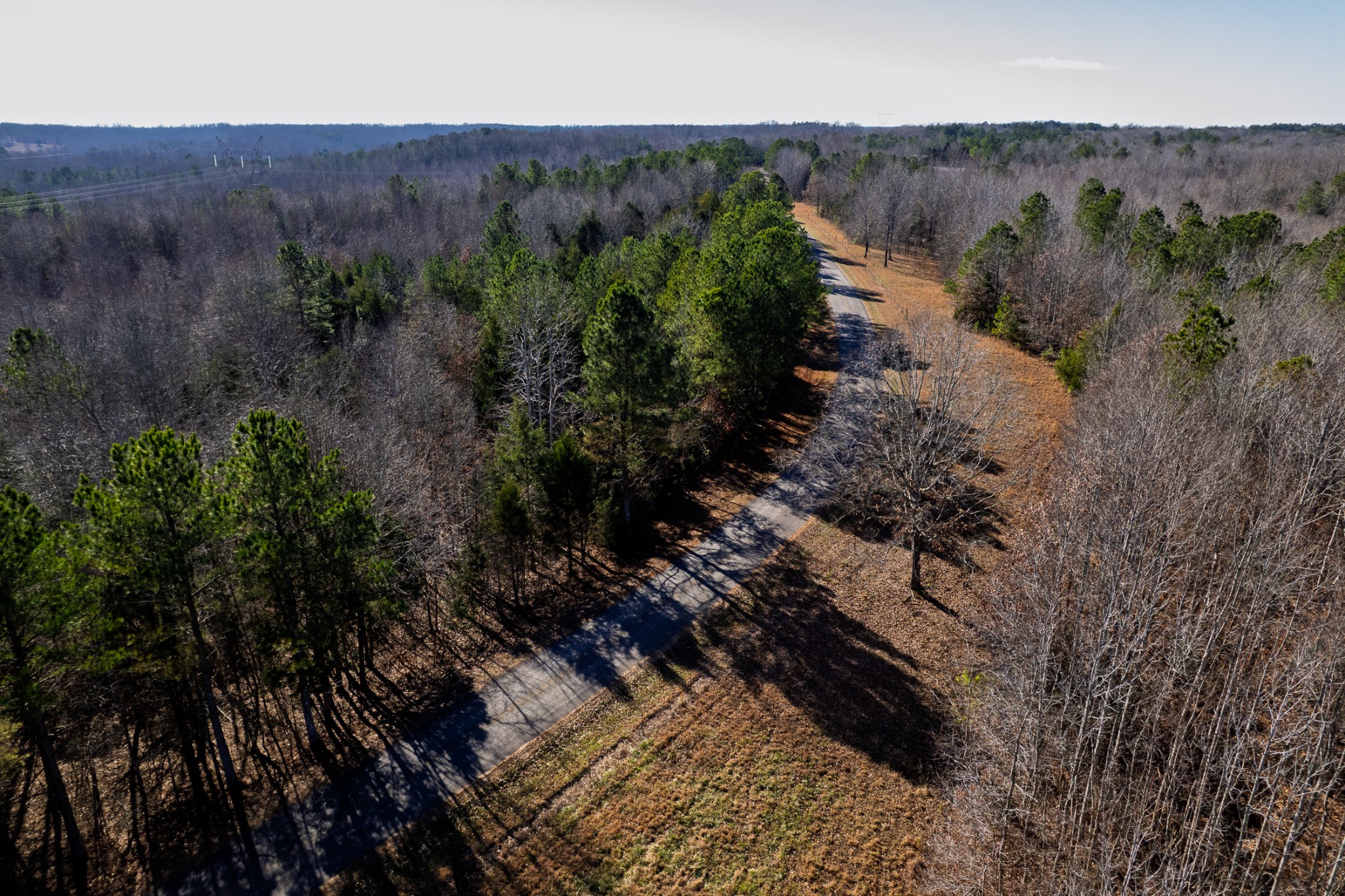 935 Pearson Road Cedar Grove, TN 38321 - Photo 17 of 46