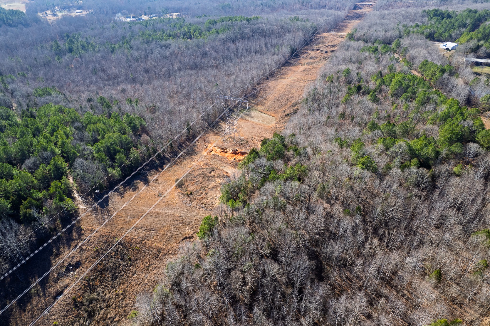 935 Pearson Road Cedar Grove, TN 38321 - Photo 19 of 46