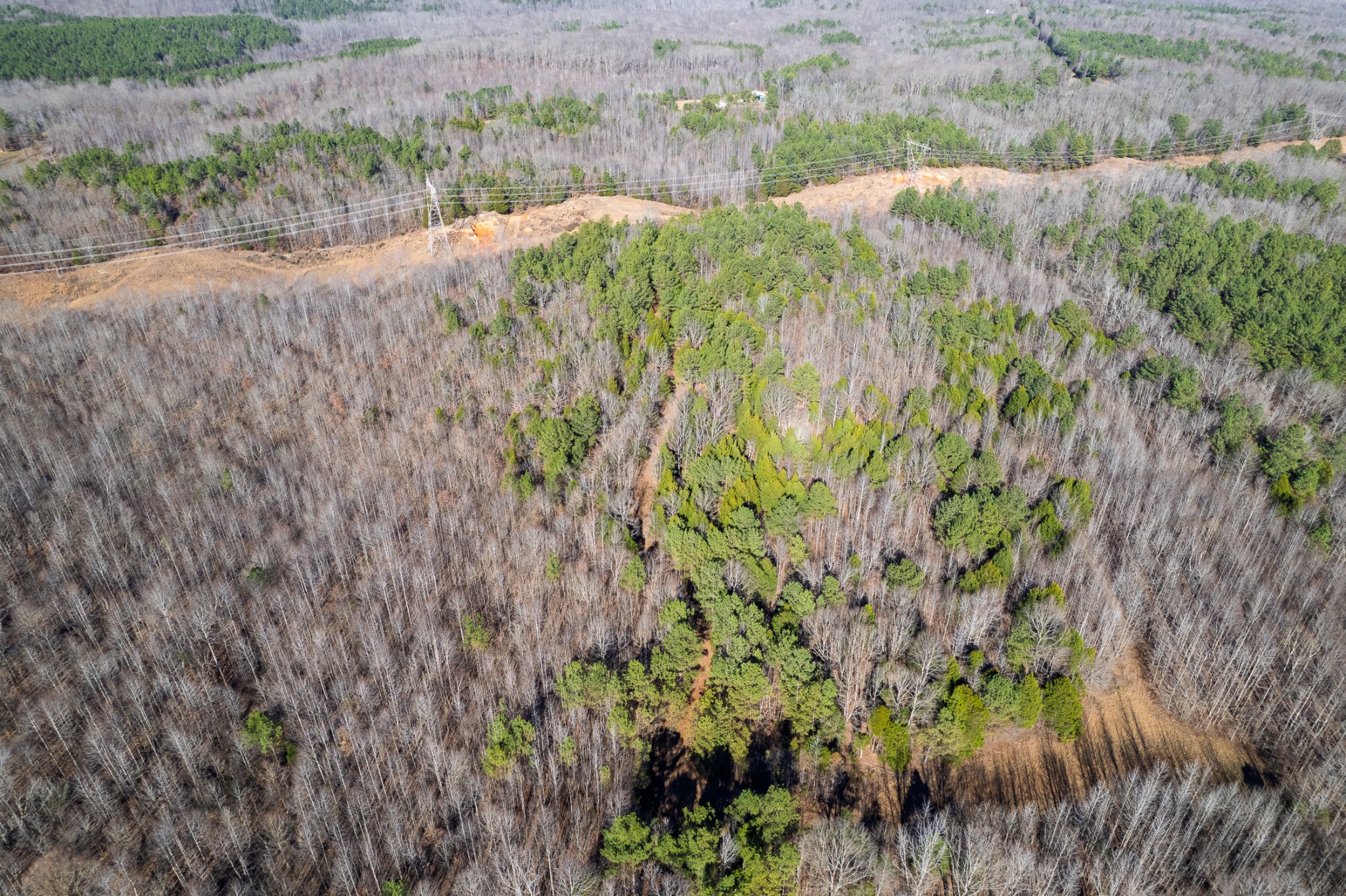 935 Pearson Road Cedar Grove, TN 38321 - Photo 20 of 46