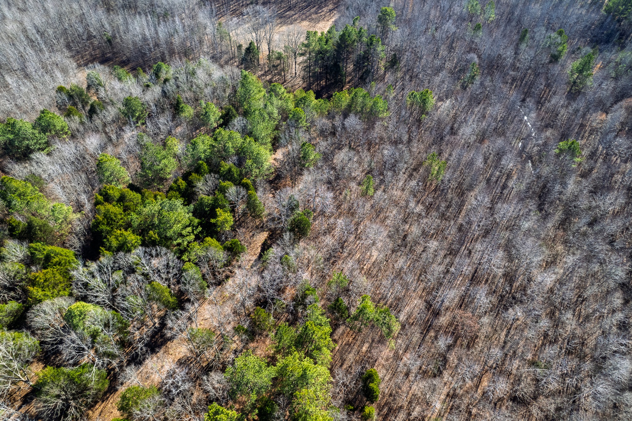 935 Pearson Road Cedar Grove, TN 38321 - Photo 22 of 46