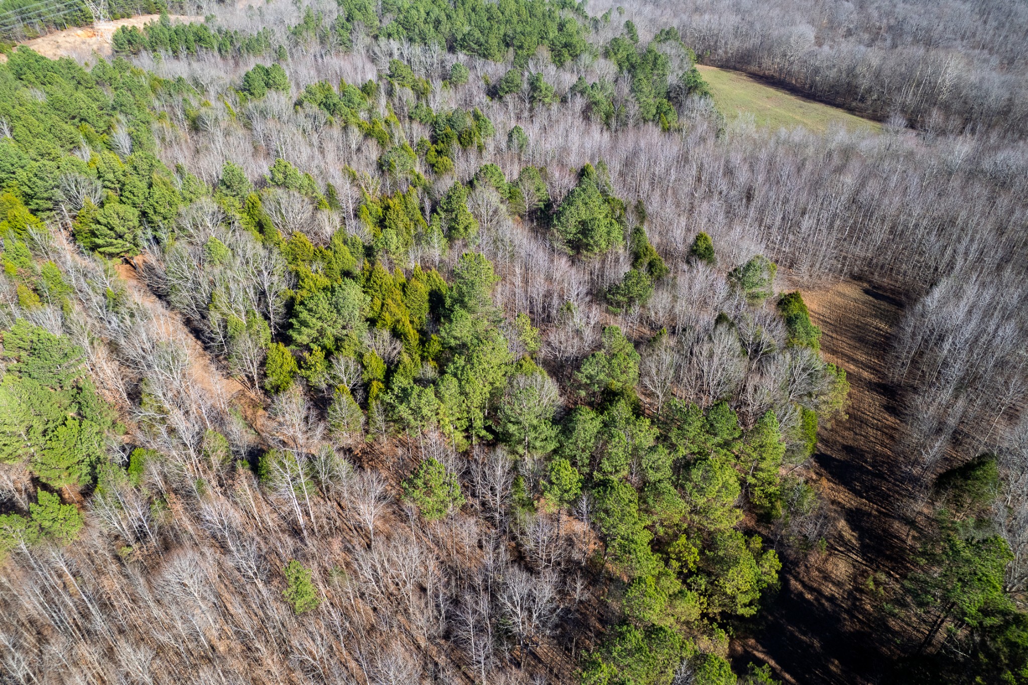 935 Pearson Road Cedar Grove, TN 38321 - Photo 23 of 46