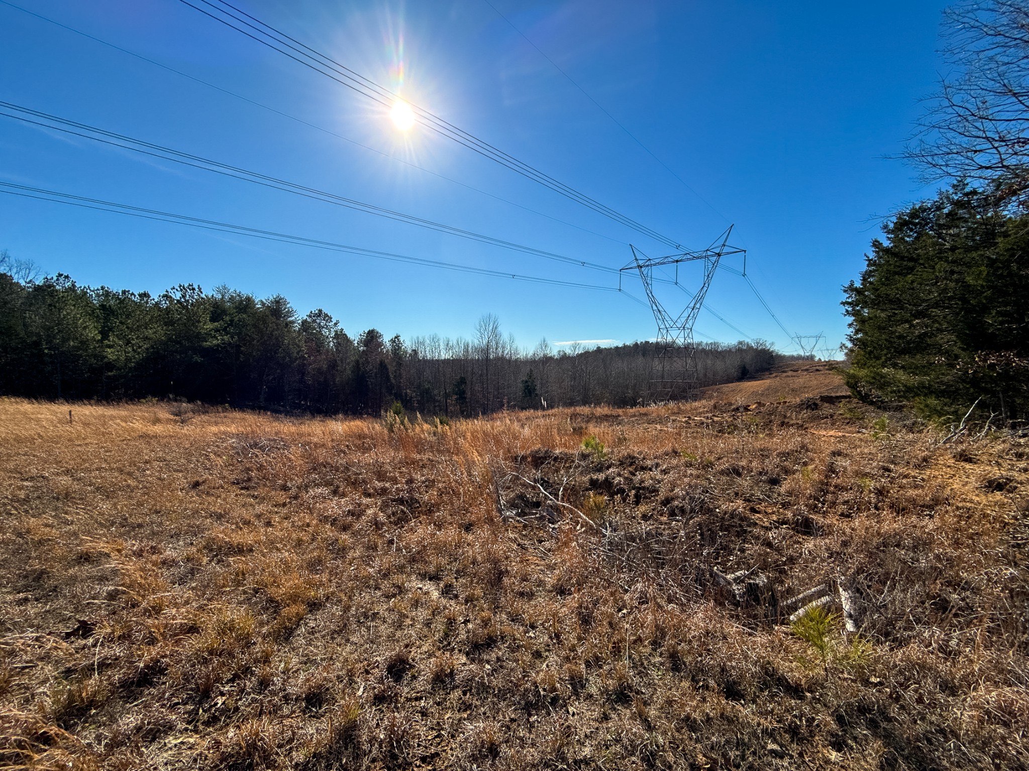 935 Pearson Road Cedar Grove, TN 38321 - Photo 36 of 46