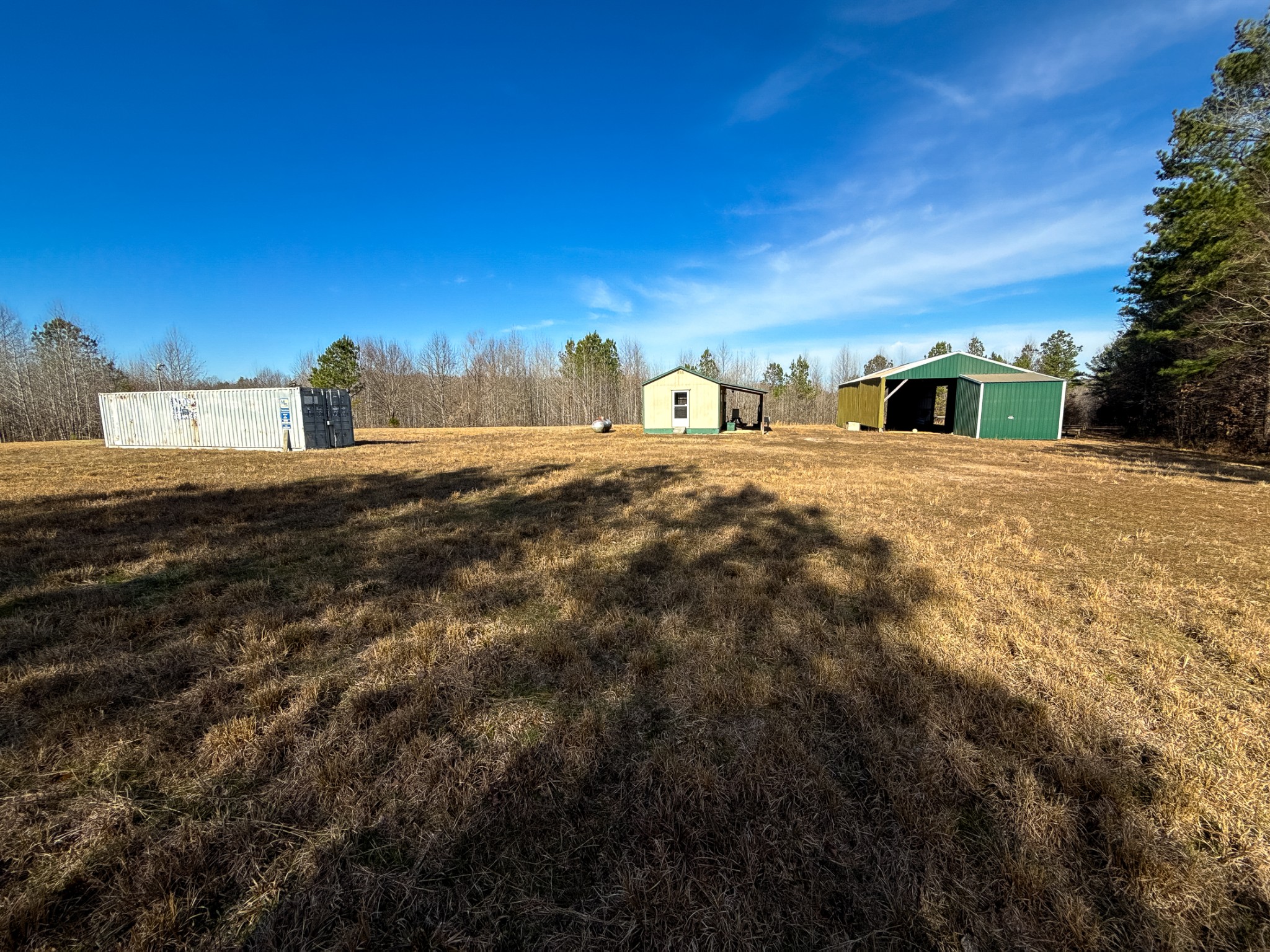 935 Pearson Road Cedar Grove, TN 38321 - Photo 5 of 46