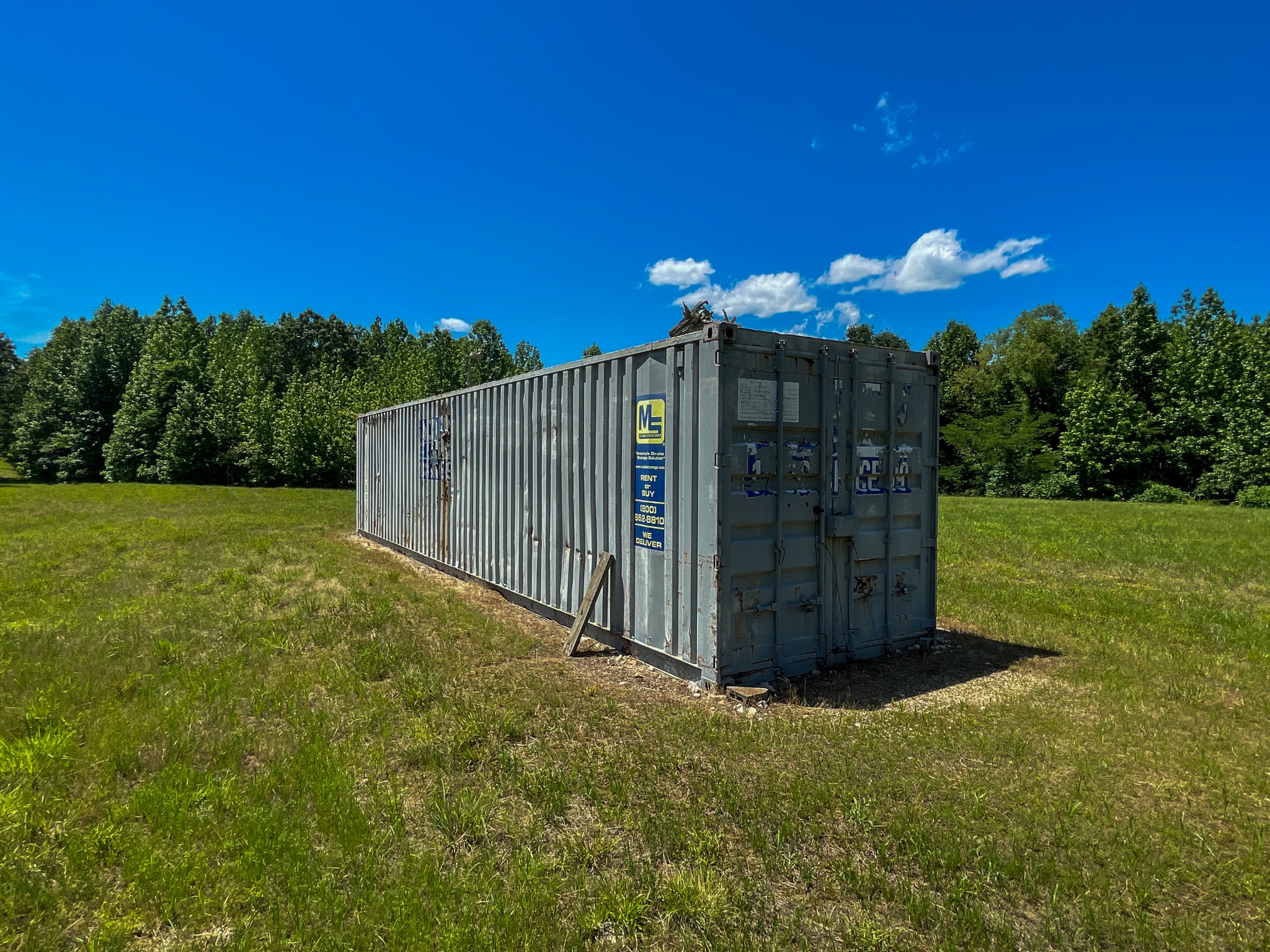 935 Pearson Road Cedar Grove, TN 38321 - Photo 9 of 46