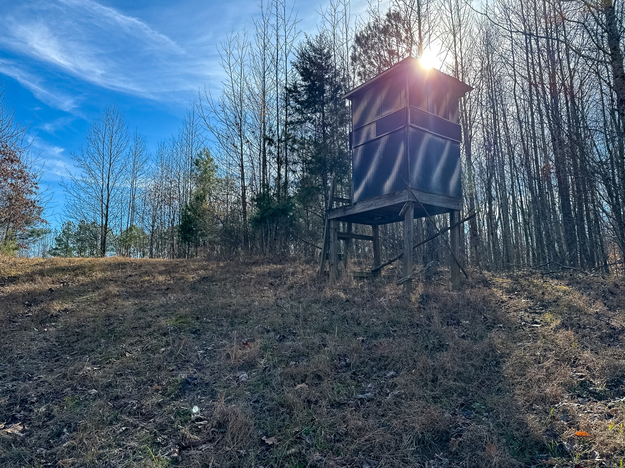 935 Pearson Road Cedar Grove, TN 38321 - Photo 10 of 46