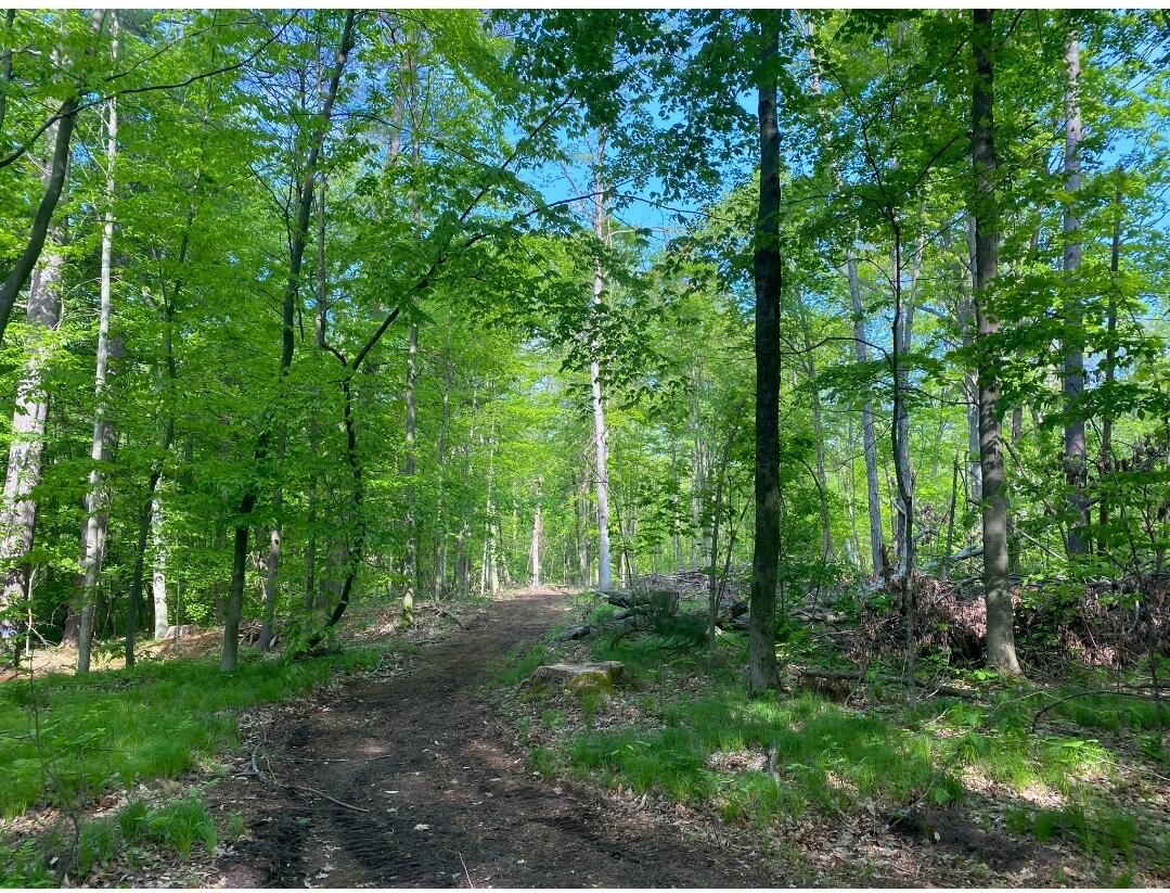 D South Behler Road Ravenna, MI 49451 - Photo 14 of 15 Screenshot_20220521-005025_DuckDuckGo